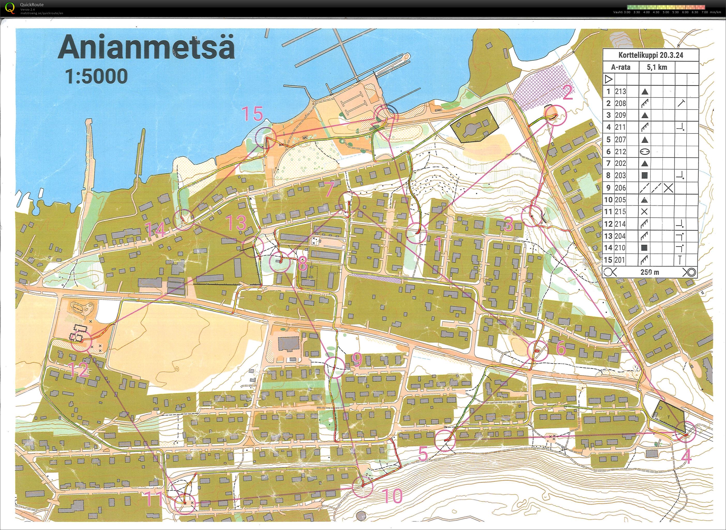 Korttelikuppi, Anianmetsä (20/03/2024)